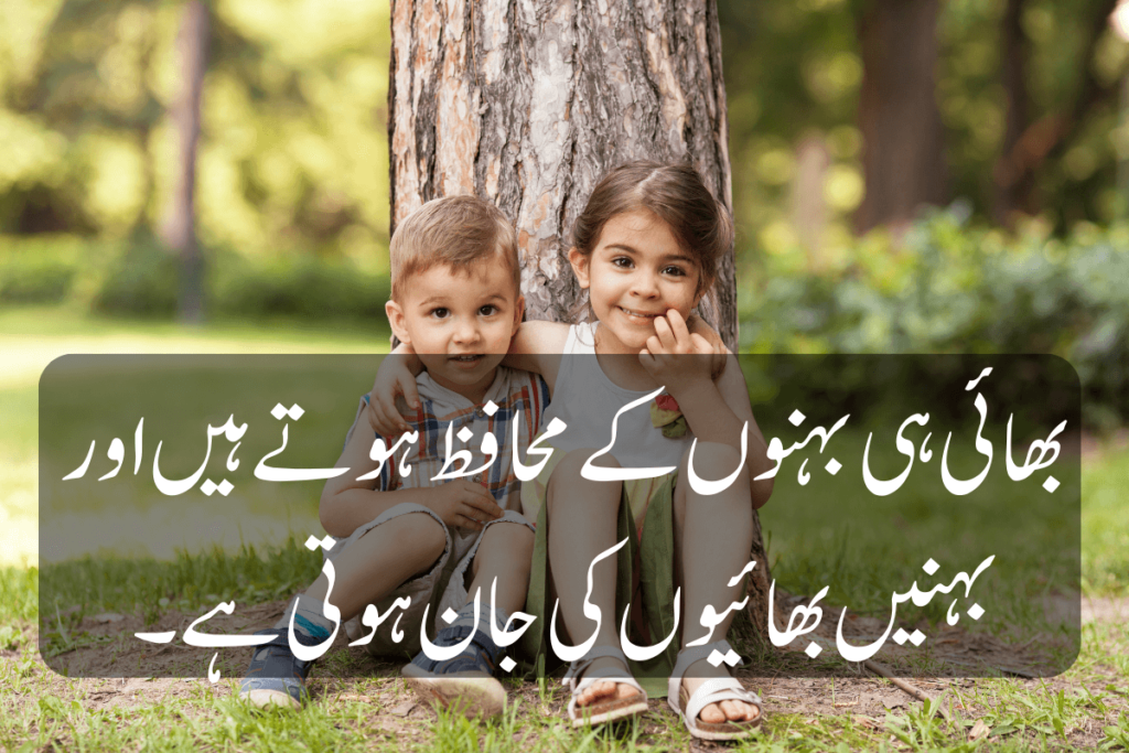 Top 30 Brother Sister Love Quotes in urdu